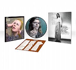 David Bowie - Hunky Dory [Picture Lp 2015 Remastered Vinyl]