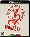 Δώδεκα Πίθηκοι [4K Ultra HD]