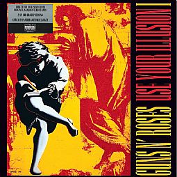 Use Your Illusion I (2Lp) [VINYL] 